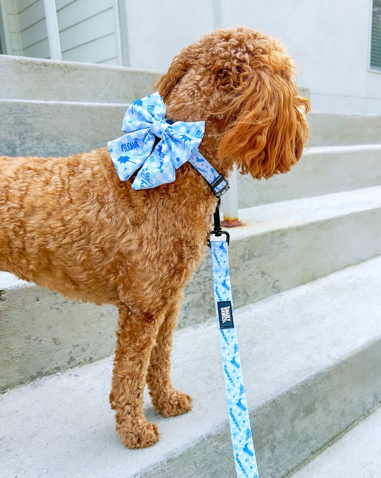 Cowabunga Sailor Bow