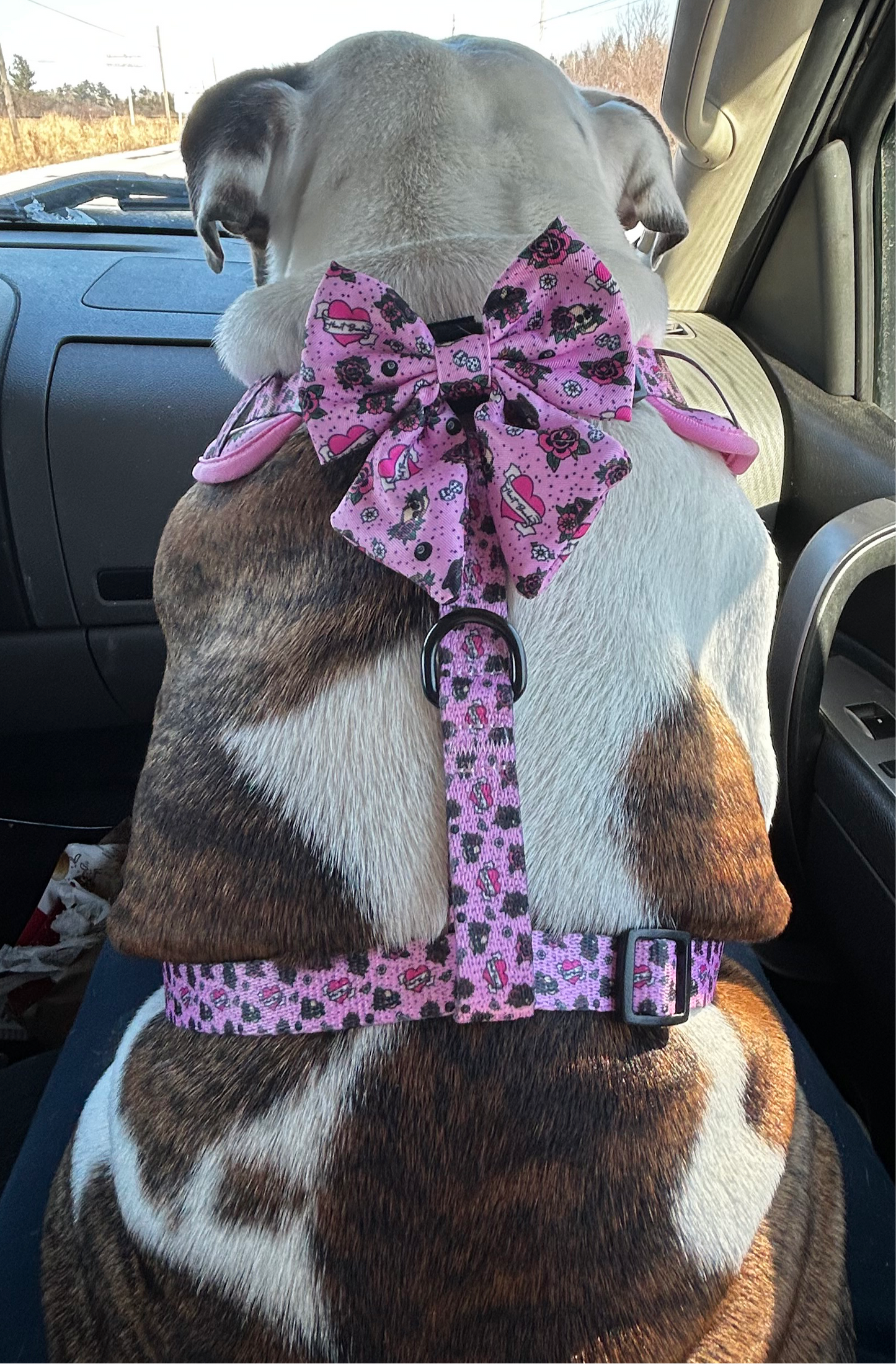 HeartBreaker Sailor Bow