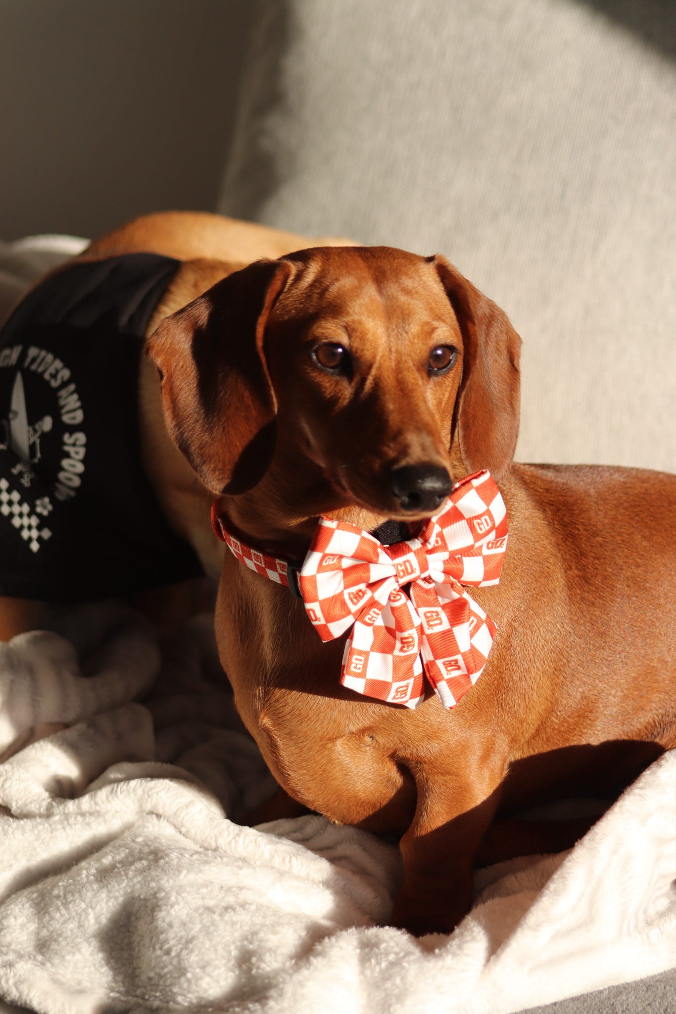 Orange Checkered Sailor Bow