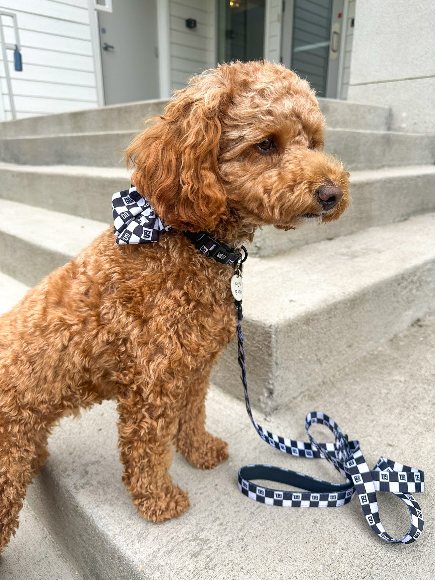 Checkered Sailor Bow