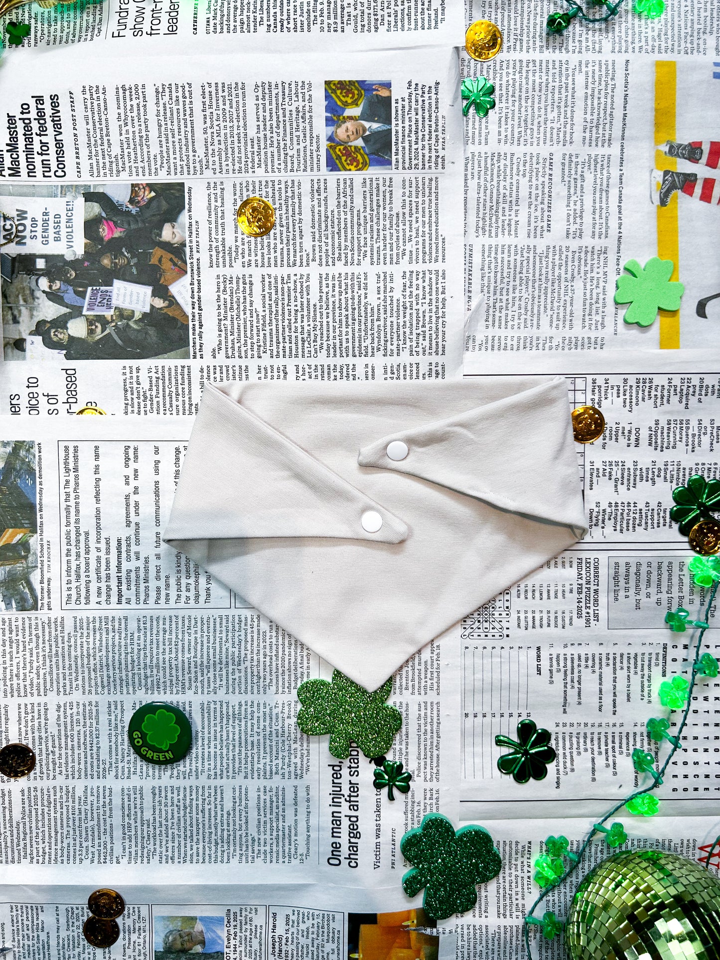 Not Your Average Lucky Charm Bandana