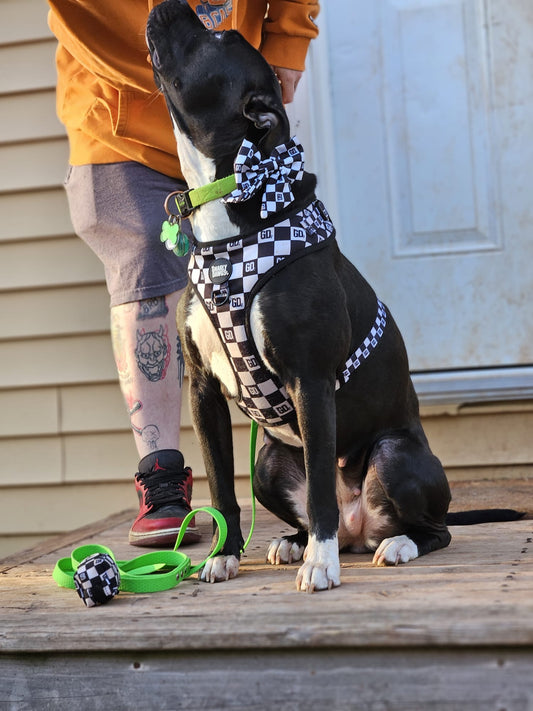 Checkered Harness
