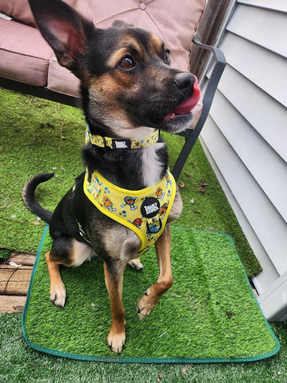 Sunshine & Summertime Collar