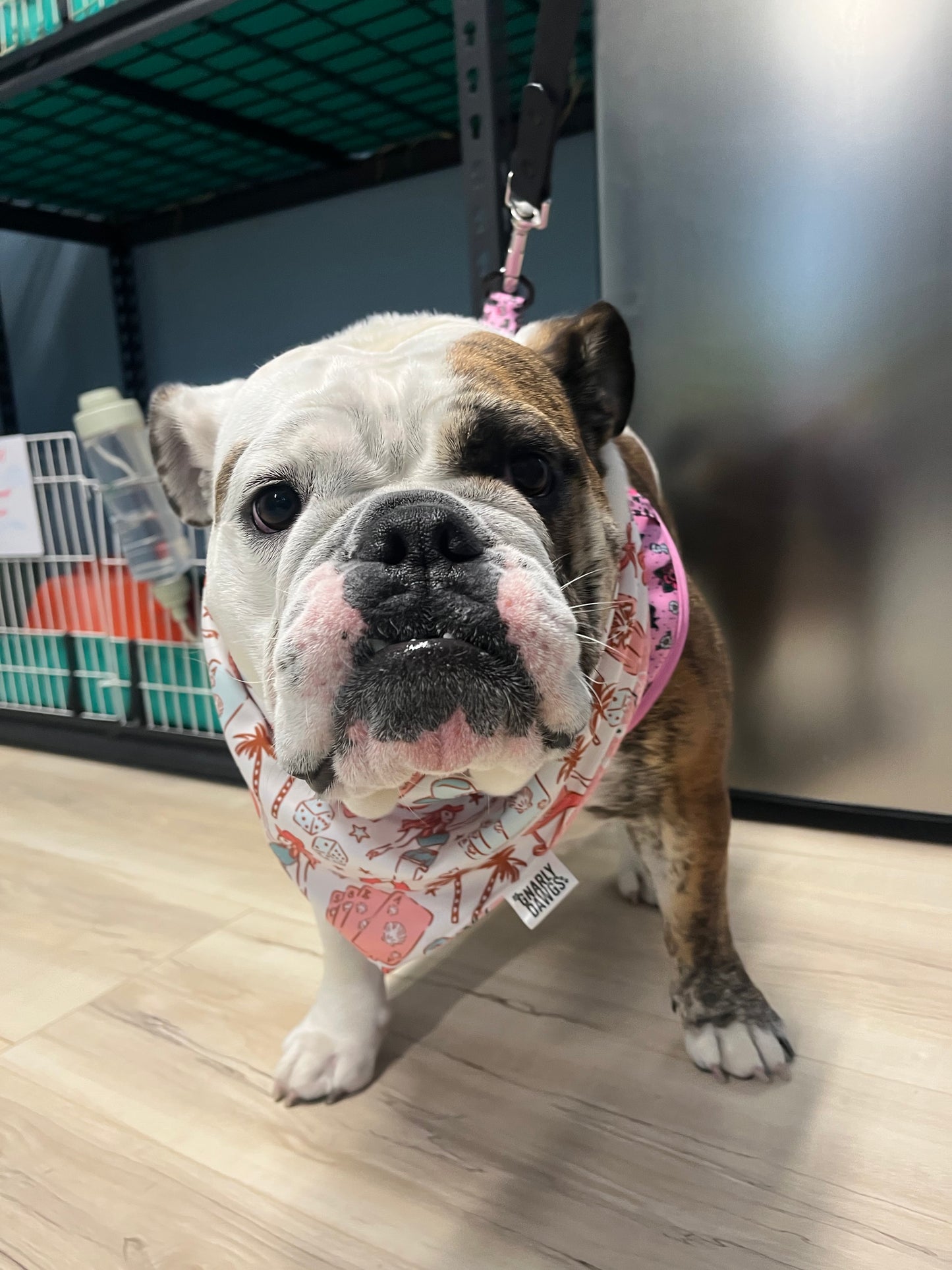 Coastal Cowgirl Reversible Bandana