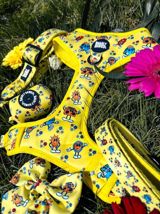 Sunshine & Summertime Poop Bag Holder